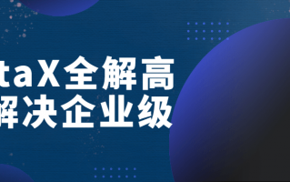 DataX全解高效解决企业级（datax开发）