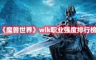 《魔兽世界》wlk职业强度排行榜