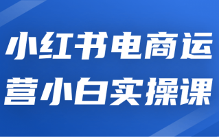 小红书电商运营小白实操课