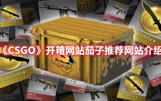 《CSGO》开箱网站茄子推荐网站介绍