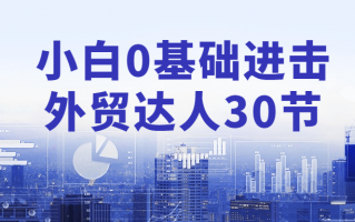 小白0基础进击外贸达人30节