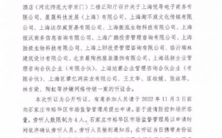 张庭夫妇涉传销一案系有人举报 起底内地资本版图