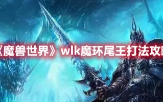 《魔兽世界》wlk魔环尾王打法攻略（魔兽世界尾王怎么打）