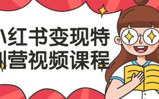 小红书变现特训营视频课程 小红书变现特训营视频课程