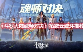 《斗罗大陆魂师对决》拓跋云魂环推荐