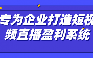 专为企业打造短视频直播盈利系统（专为企业打造短视频直播盈利系统的公司）