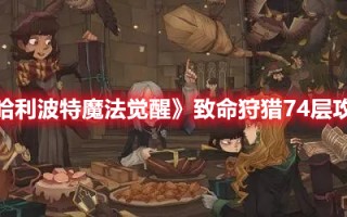 《哈利波特魔法觉醒》致命狩猎74层攻略