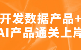 开发数据产品+AI产品通关上岸