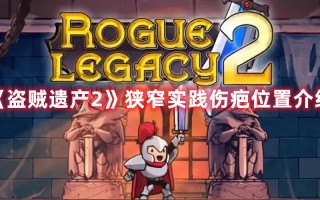 《盗贼遗产2》狭窄实践伤疤位置介绍