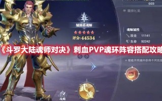 《斗罗大陆魂师对决》刺血PVP魂环阵容搭配攻略