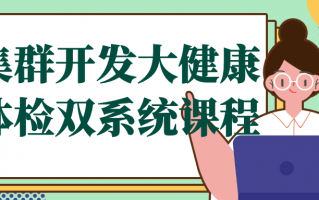 集群开发大健康体检双系统课程