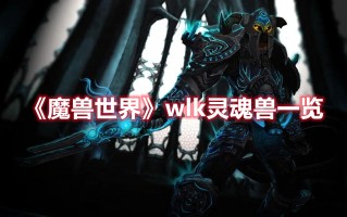 《魔兽世界》wlk灵魂兽一览（wlk 灵魂兽）