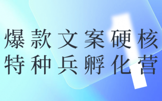 爆款文案硬核特种兵孵化营