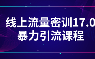 线上流量密训17.0暴力引流课程