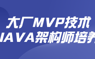 大厂MVP技术JAVA架构师培养