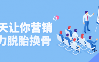 20天让你营销能力脱胎换骨（提升自己的营销能力）