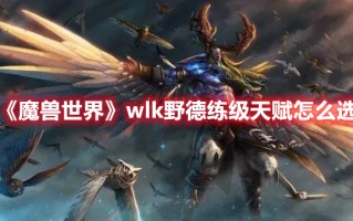 《魔兽世界》wlk野德练级天赋怎么选（魔兽世界怀旧服野德练级天赋）