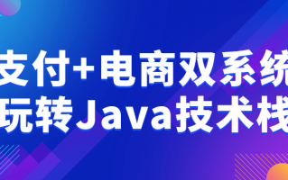 支付+电商双系统玩转Java技术栈