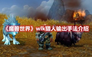 《魔兽世界》wlk猎人输出手法介绍