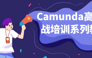 Camunda高级实战培训系列教程