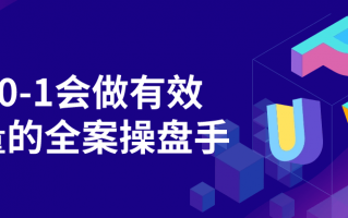 从0-1会做有效流量的全案操盘手