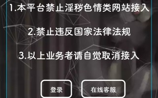 个人免签码支付源码+监控APP+视频教程【站长亲测】（个人免签码支付源码+监控APP【站长亲测】）