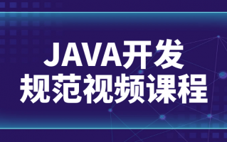 JAVA开发规范视频课程