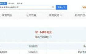 虞书欣父母公司再成被执行人 执行标的约31.15万元