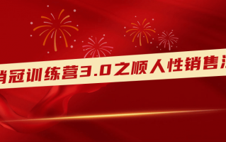 销冠训练营3.0之顺人性销售法