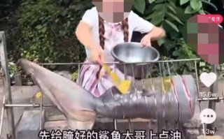 来了！网红烹食大白鲨后续 吃大白鲨事件回顾