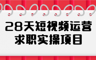 28天短视频运营求职实操项目