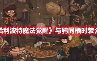 《哈利波特魔法觉醒》与鸮同栖时装介绍