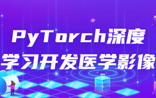 PyTorch深度学习开发医学影像