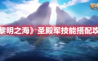《黎明之海》圣殿军技能搭配攻略（《黎明之海》圣殿军技能搭配攻略大全）