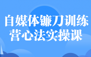 自媒体镰刀训练营心法实操课
