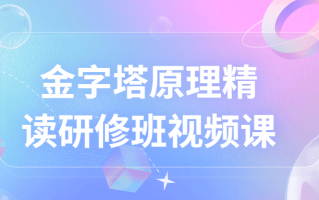 金字塔原理精读研修班视频课