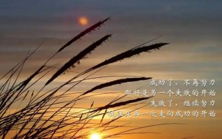 励志的句子经典语句100字左右 致自己平凡的生活