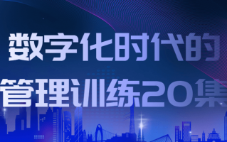 数字化时代的管理训练20集