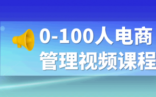 0-100人电商管理视频课程