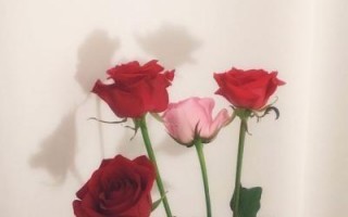 风景静物头像，会给你带来正能量好心情的