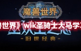 《魔兽世界》wlk圣骑士大马学习方法