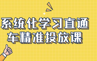 系统化学习直通车精准投放课