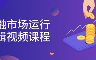 金融市场运行逻辑视频课程 金融市场运行逻辑视频课程