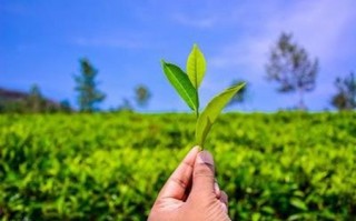 告诫自己该清醒的句子，献给迷茫的人的30句说说