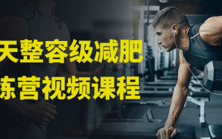 30天整容级减肥训练营视频课程