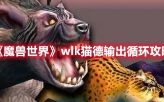 《魔兽世界》wlk猫德输出循环攻略