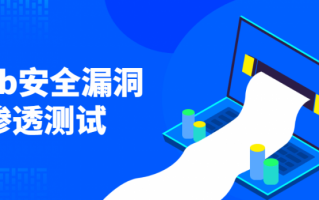Web安全漏洞与渗透测试（web漏洞检测）