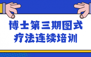 博士第三期图式疗法连续培训