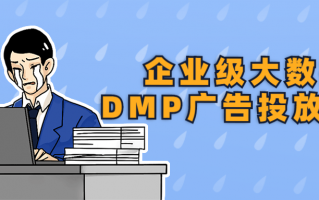 企业级大数据DMP广告投放实战