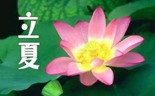 2022立夏祝福短信，简短的节气问候语句子